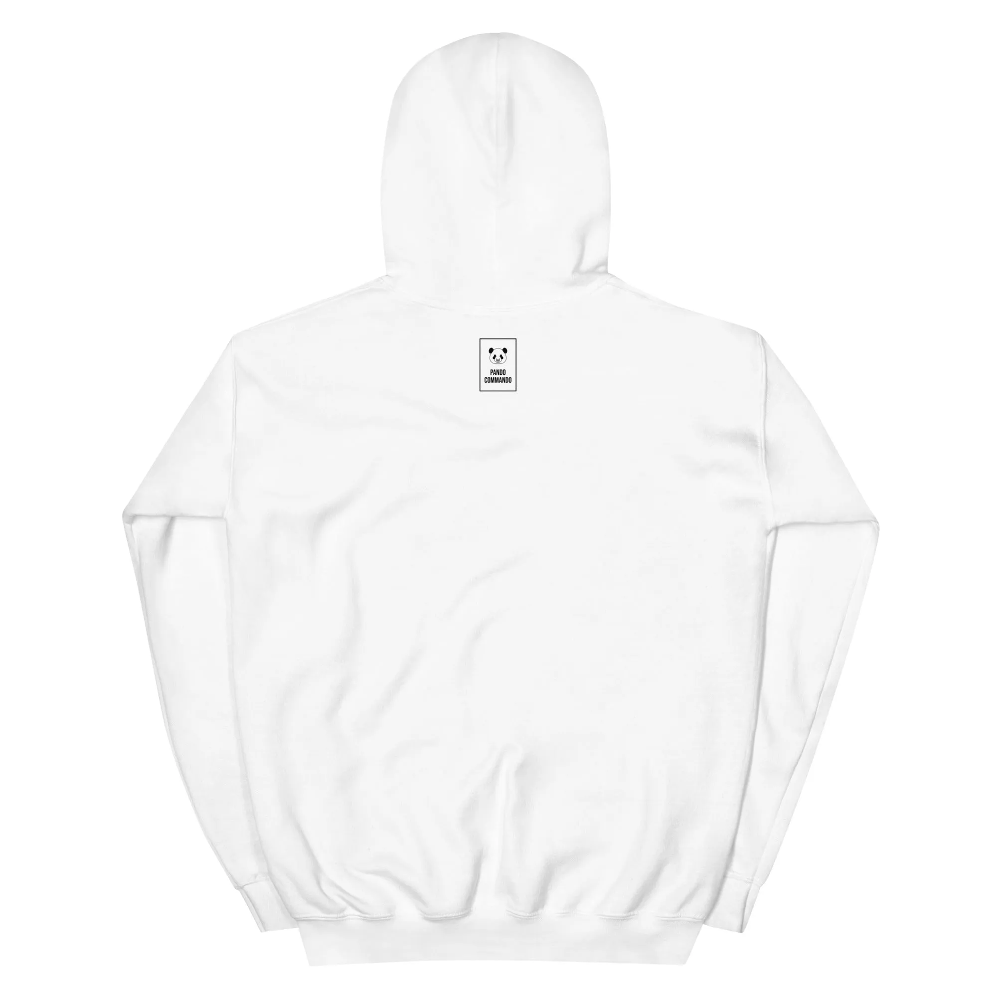 10th Mountain Division Hoodie