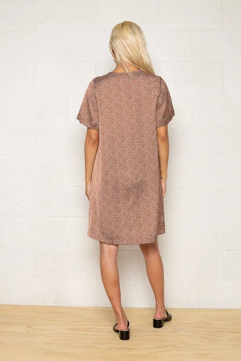 A Little Rusty Satin Dress