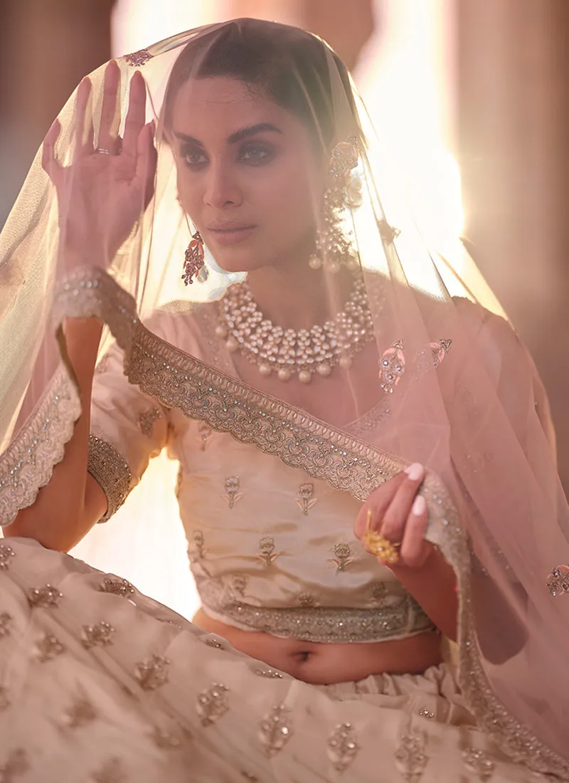 Baby Pink Traditional Embroidered Lehenga Choli