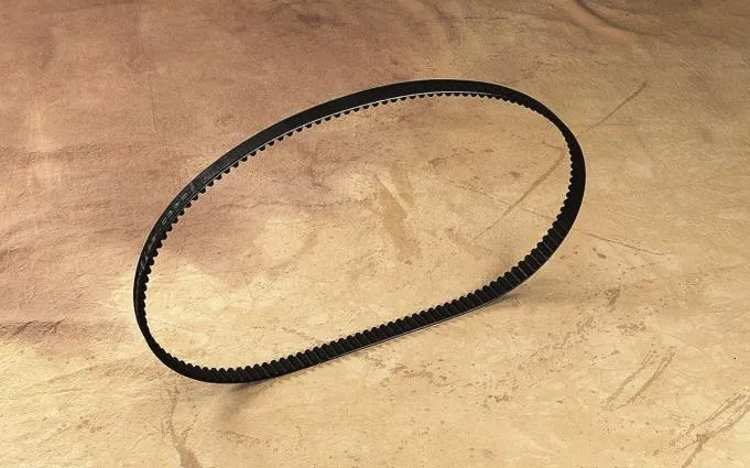 Belt Drives Ltd 24mm Rear Drive Belts