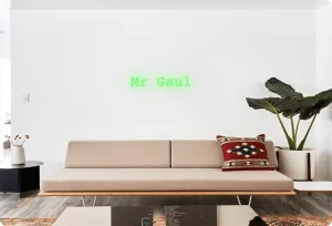 Custom order: Mr Gaul