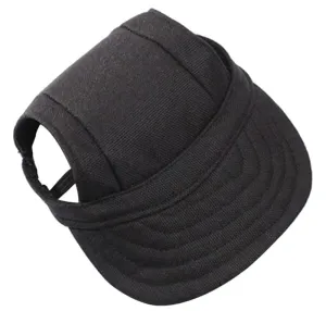 Dog  Hat Puppy Outdoor