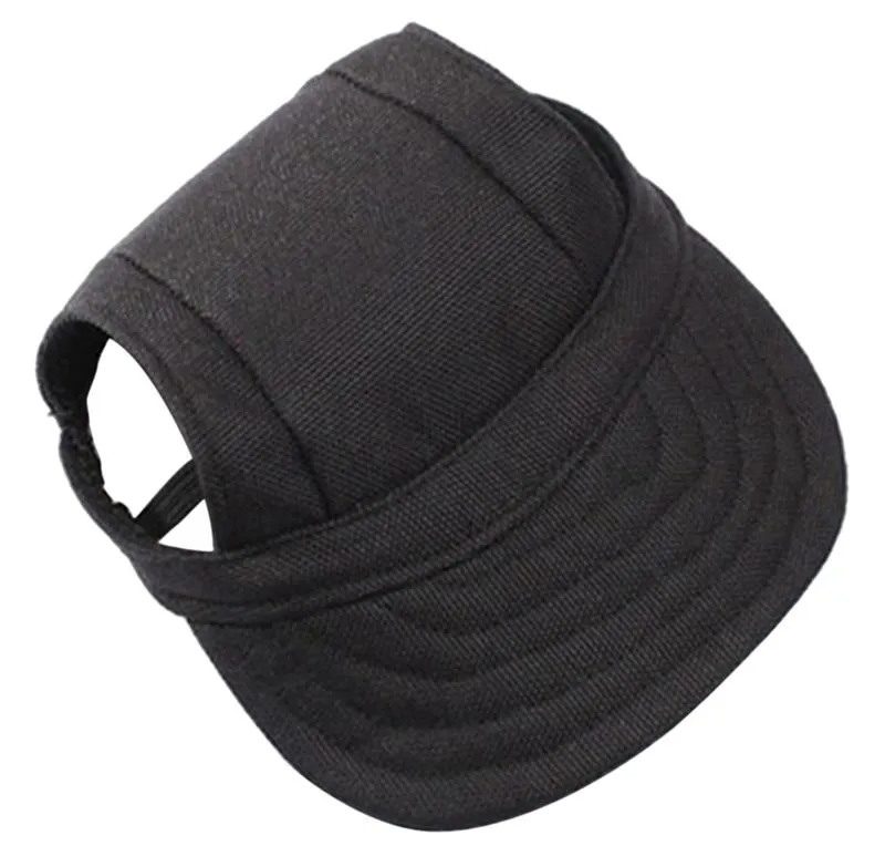 Dog  Hat Puppy Outdoor
