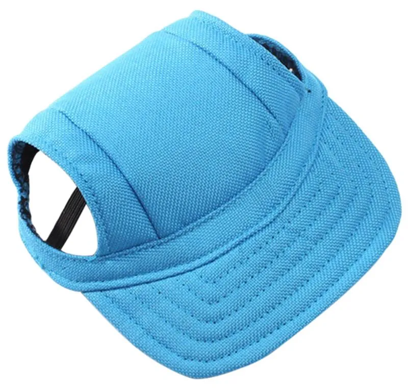 Dog  Hat Puppy Outdoor