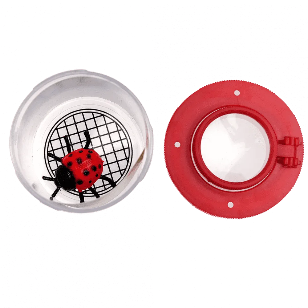 Insect Viewer
