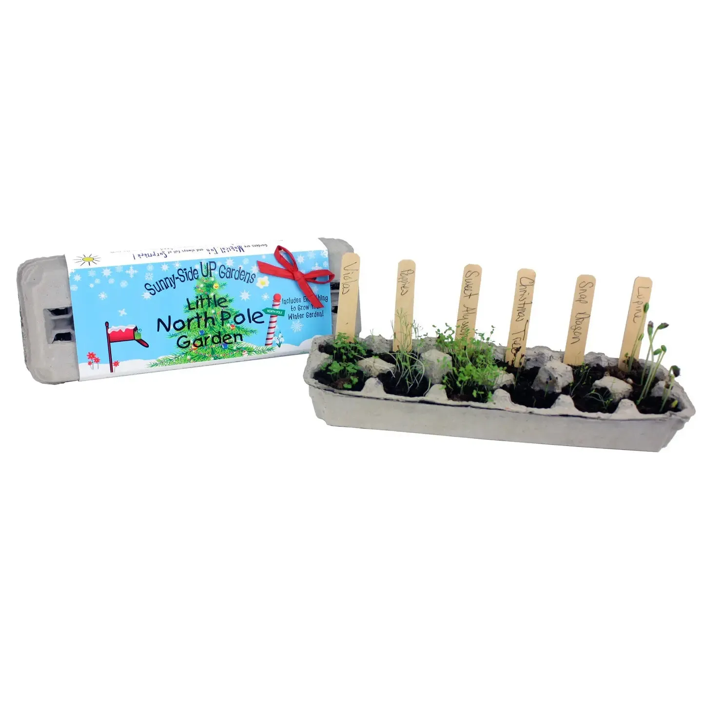 Little North Pole Garden Christmas Holiday Grow Kit