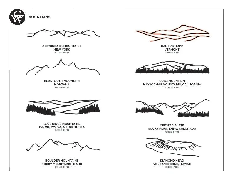 Mountain Coasters