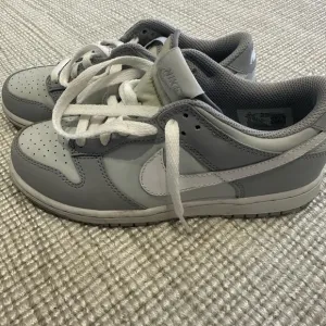Nike Kids Gray and white Dunks low
