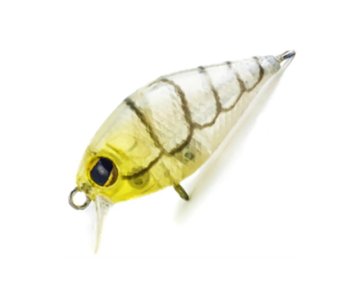 Pro Lure Prolure S36 Shallow Crank Hard Body Lure