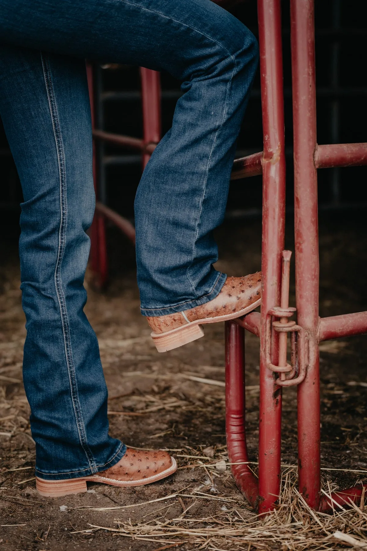 'Traci' Wrangler Willow Bootcut (24-35)