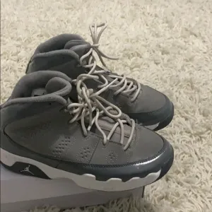 Wolf gray 13s